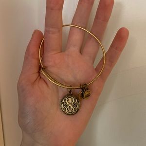 Alex and ani tree of life bracelet